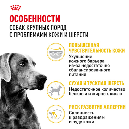 Сухой корм Royal Canin Maxi Dermacomfort для взрослых крупных пород 10 кг